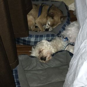 Meet your Posher, Tim